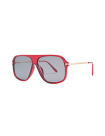 Sunglasses- "RED"